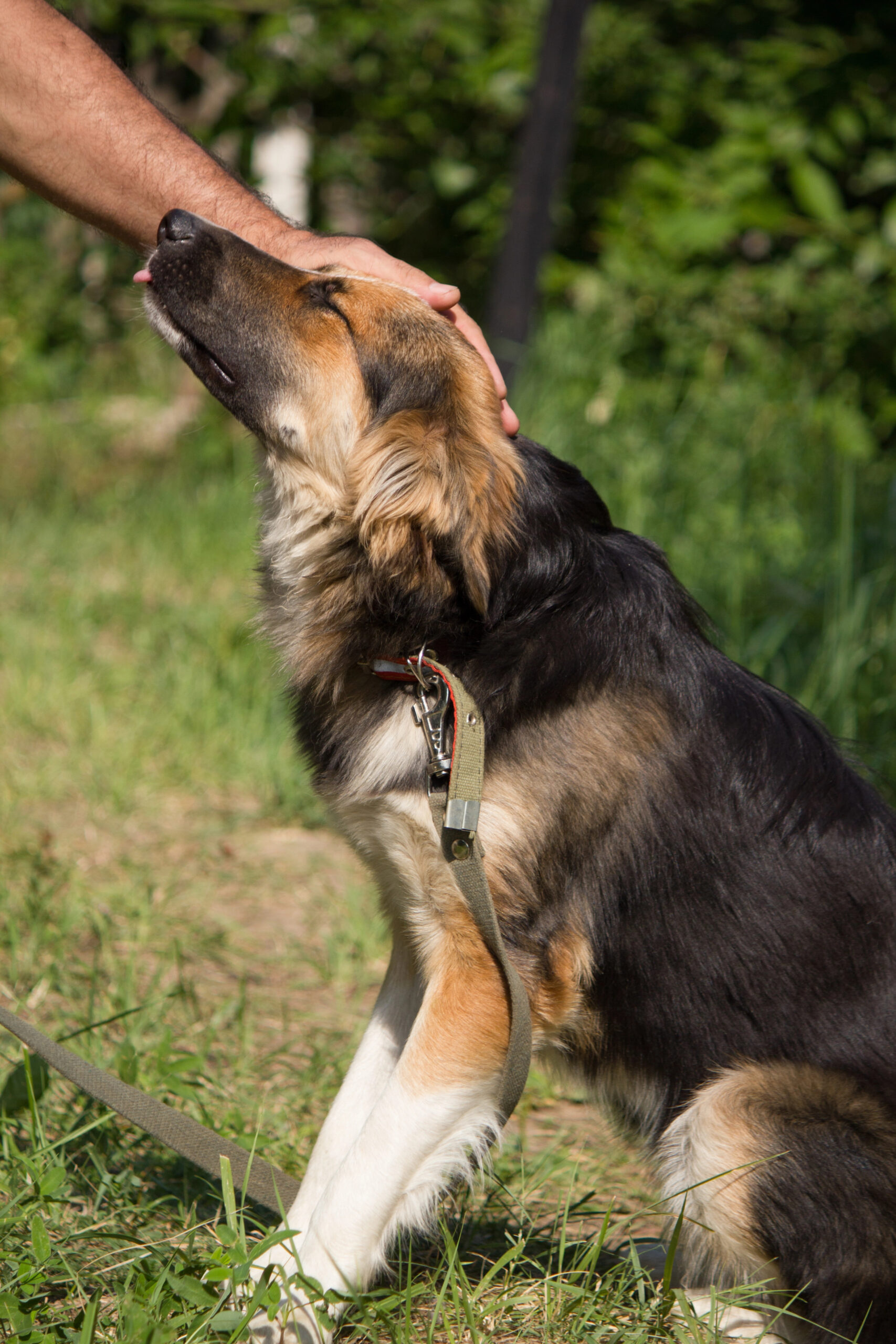 Depositphotos_27953155_XL